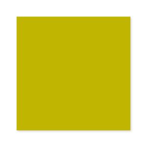 Colors Chartreuse Brillante 11x11